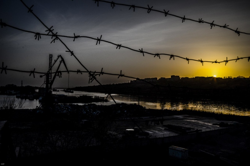 Ольга Теряева |