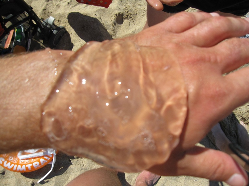 Александр Старцев | Богородицк