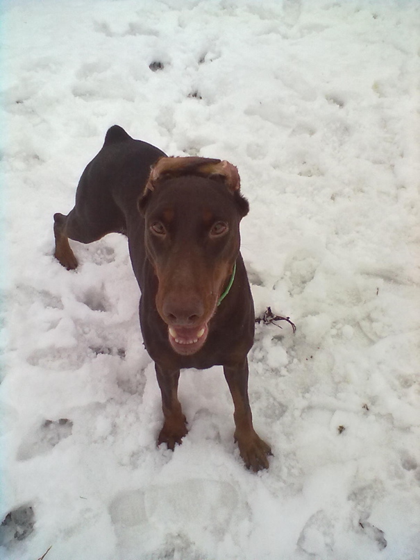 Анастасия Лысенкова |