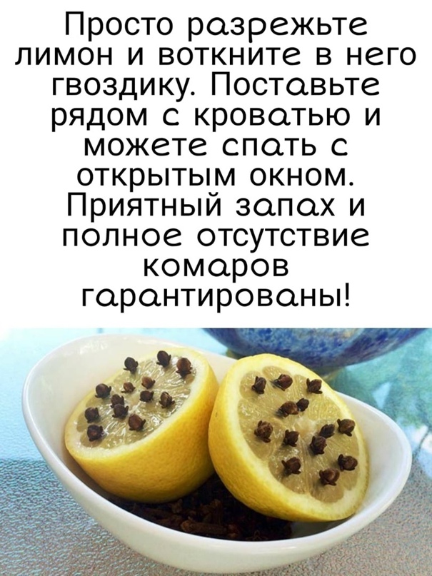 Ксюша Емельянова | Смоленск