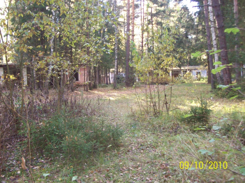 Алексей Селиванов | Кохма