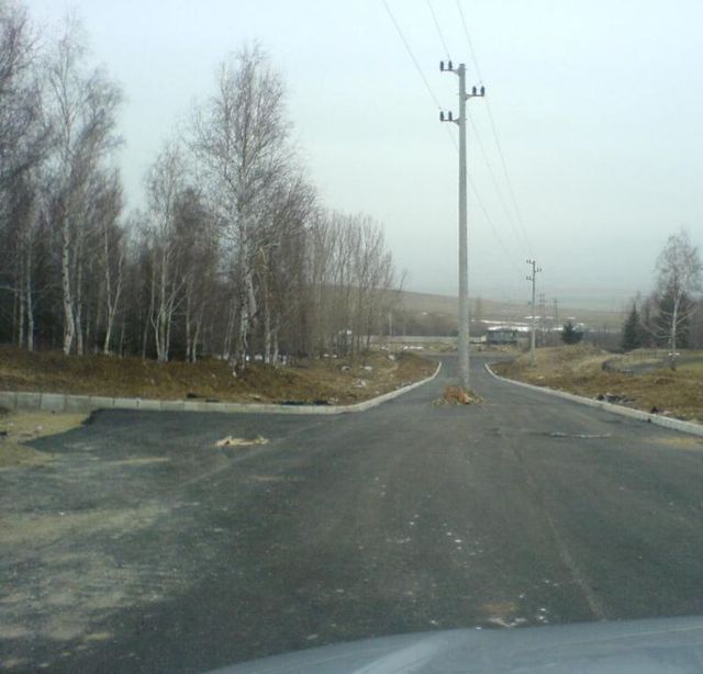 Дарья Белая | Сосновый Бор (поселок)