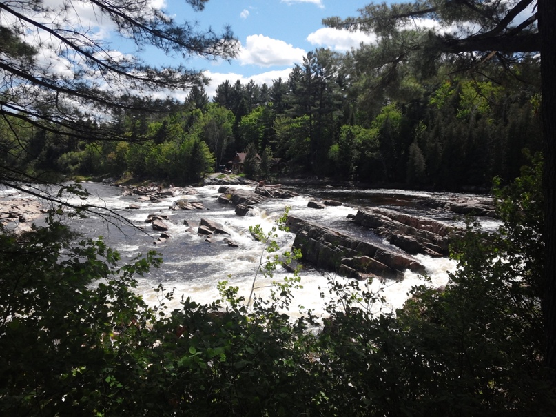 Никита Овчинников | Воронеж