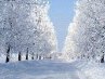 Валентина Нестерова | Запорожье