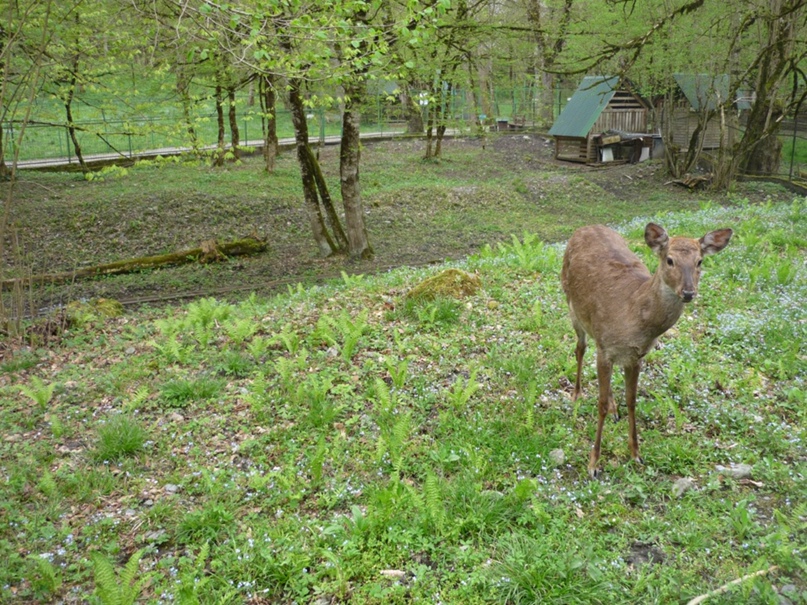 Екатерина Еременко | Москва