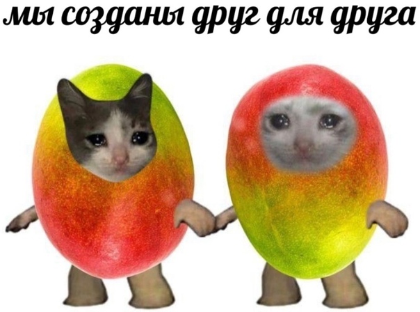 одно целое не делимое