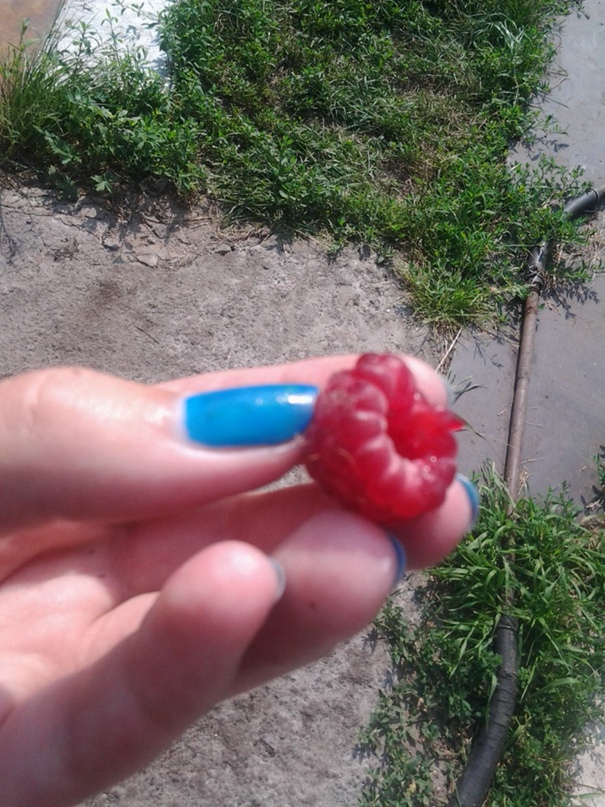 Татьяна Шичкина Борисовна | Красноярск