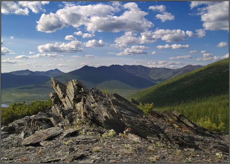 Мария Молокова | Севастополь