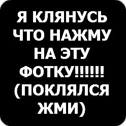 Никита Потапов | Выкса