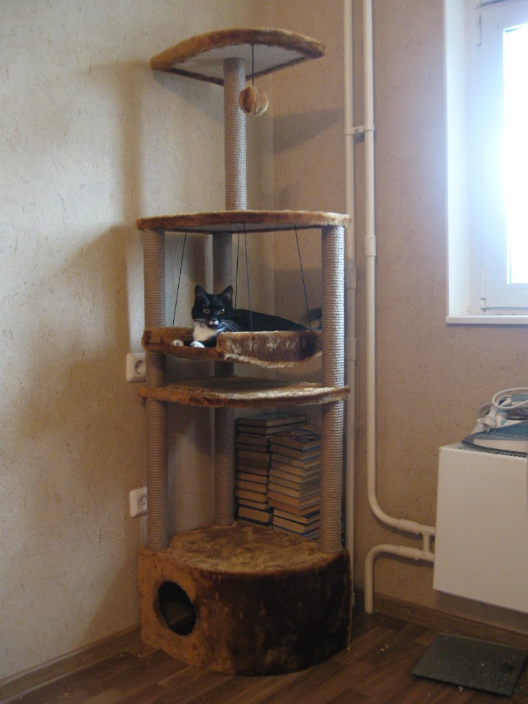 Анастасия Казакова |