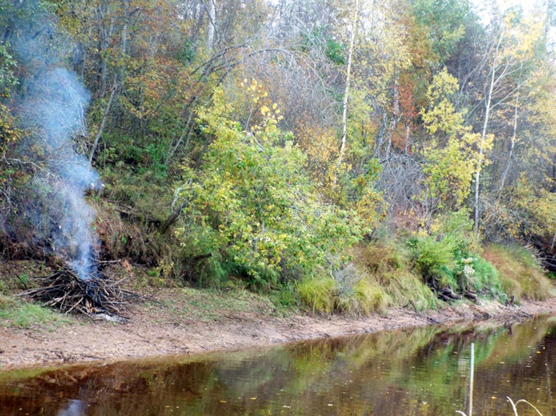 Ирина Савинова | Санкт-Петербург