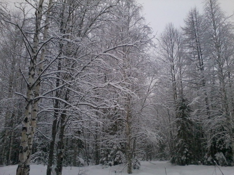 Денис Данилов Васильевич | Шахты