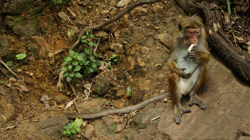 Екатерина Марченко | Москва