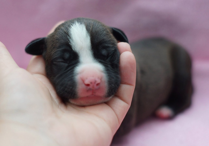 Екатерина Алексеева | Челябинск