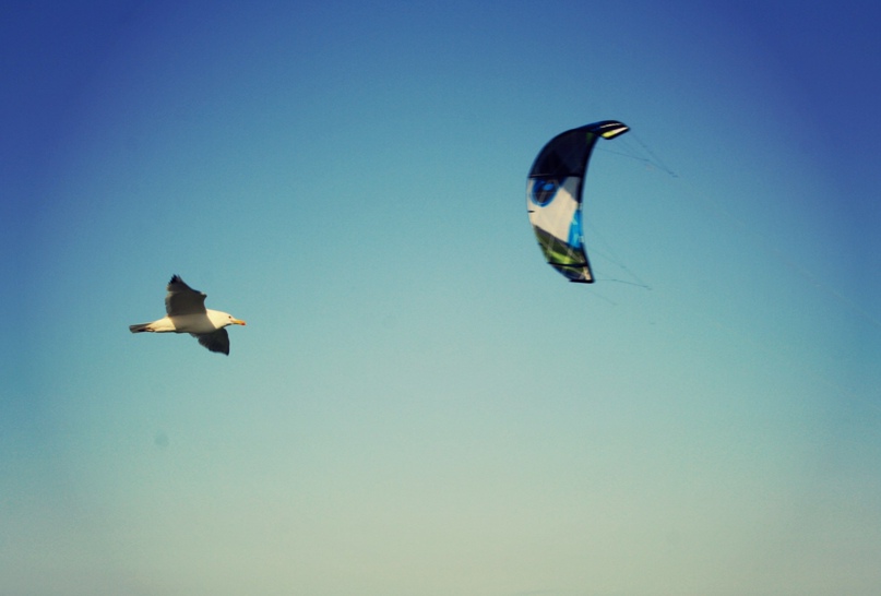 Ирина Кулешова |