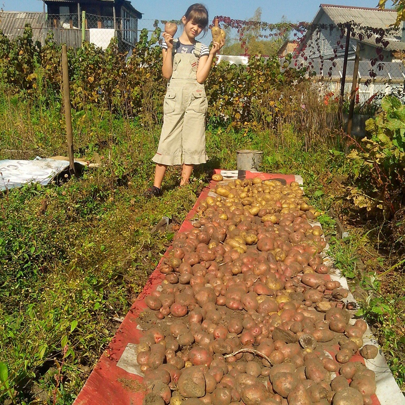 Олег Бобков | Гусь-Хрустальный