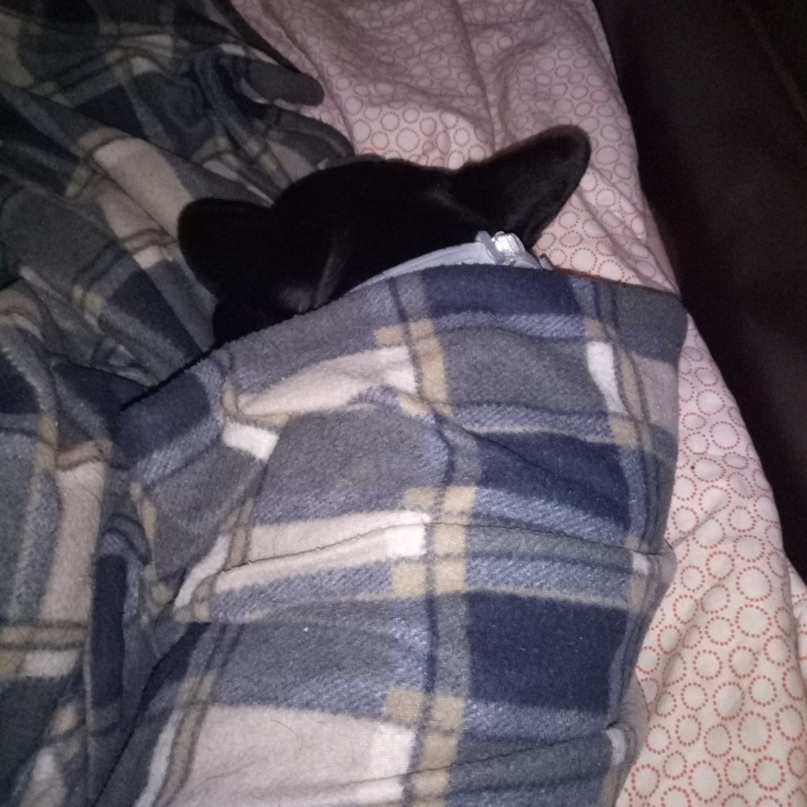 Екатерина Белкина | Москва