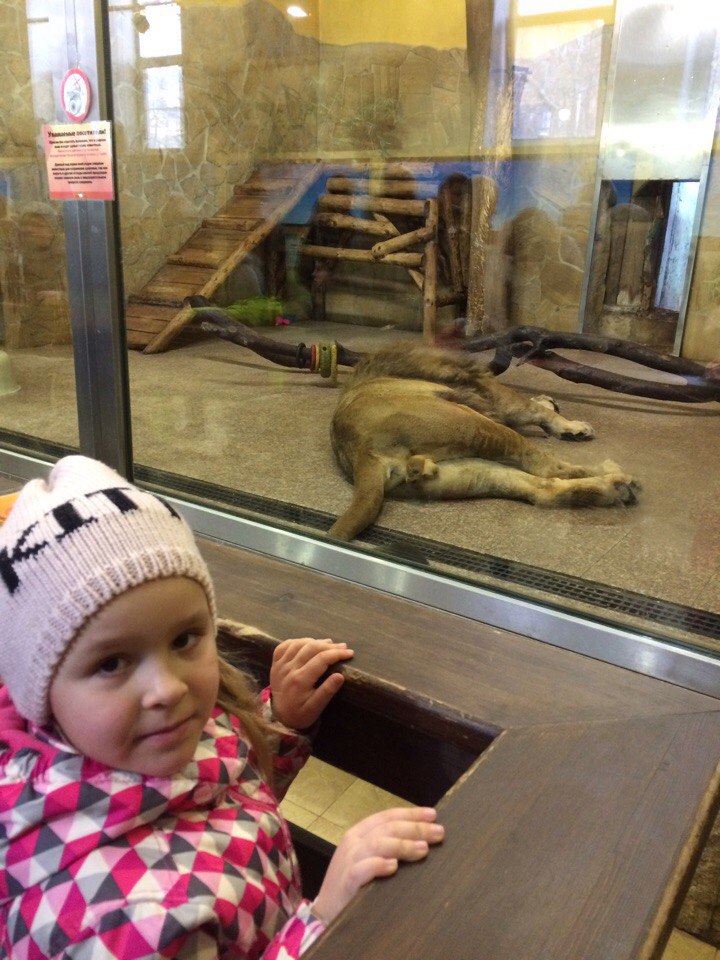 Татьяна Комина | Тольятти