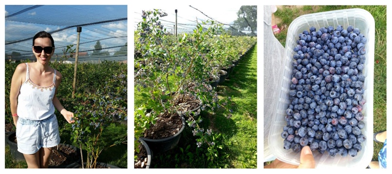 Александра Самарская | Nürnberg