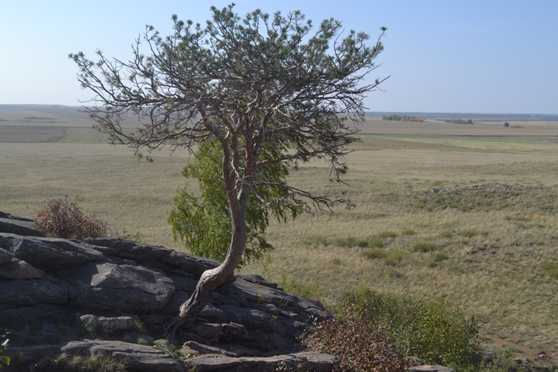 Станислав Кучер ЛЕФФ | Санкт-Петербург