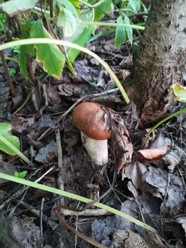 Оля Михальченко ((M@l@ya)) | Витебск