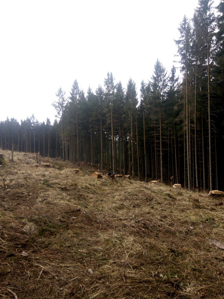 Артем Басов | Кривой Рог