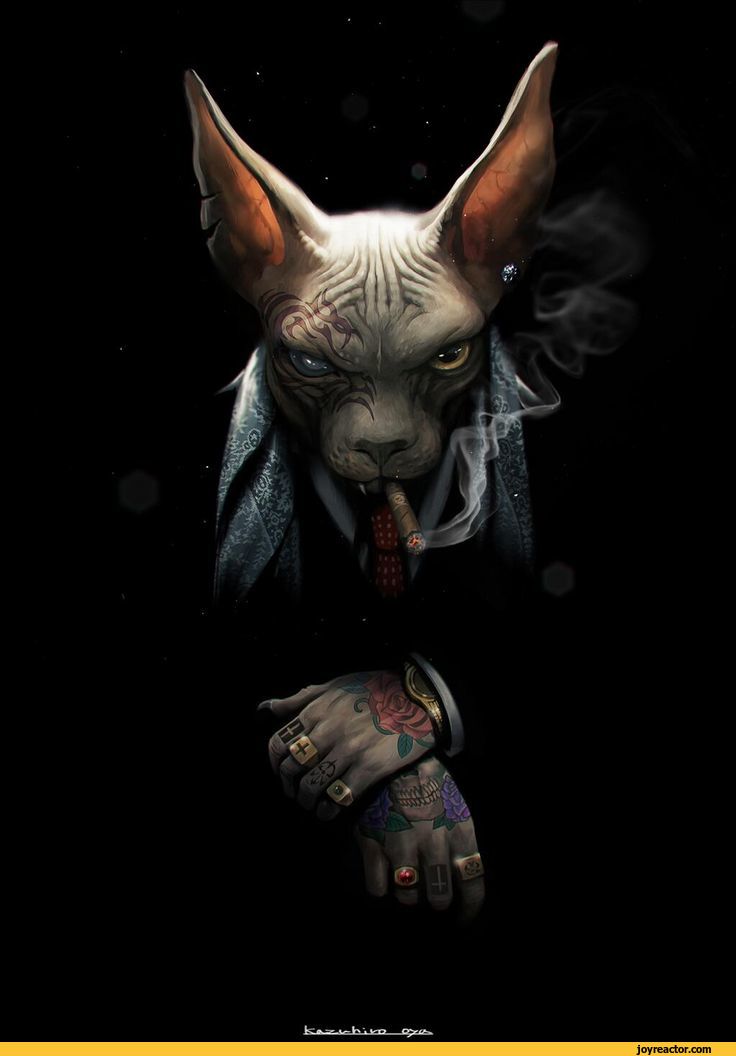 Андрей Шарков | Мончегорск