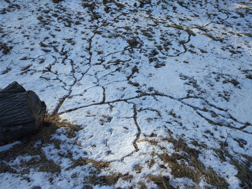 Иван Ковальчук Daemoncheg | Санкт-Петербург