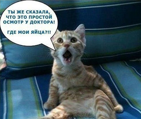 Антон Финогенов борисоч | Москва