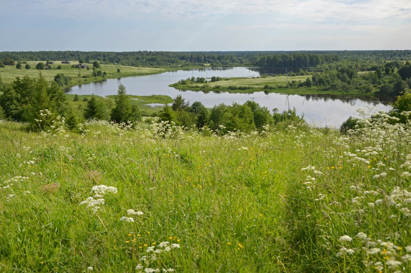 Людмила Григоренко | Калининград