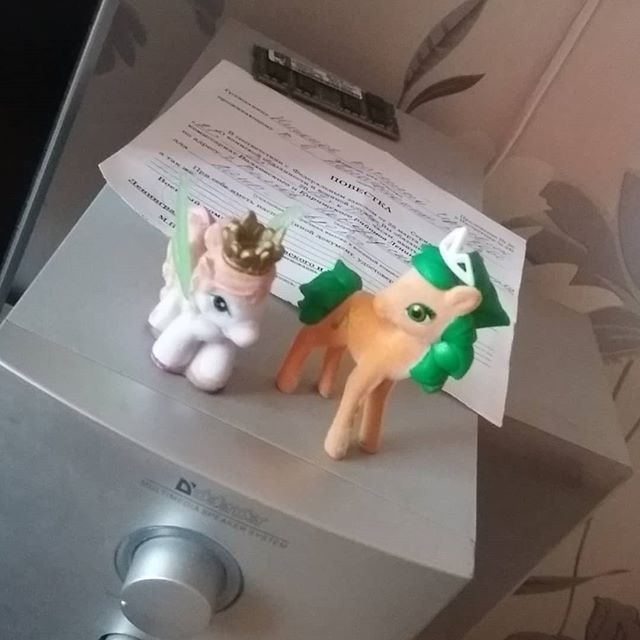 Василий Никонов | Волхов