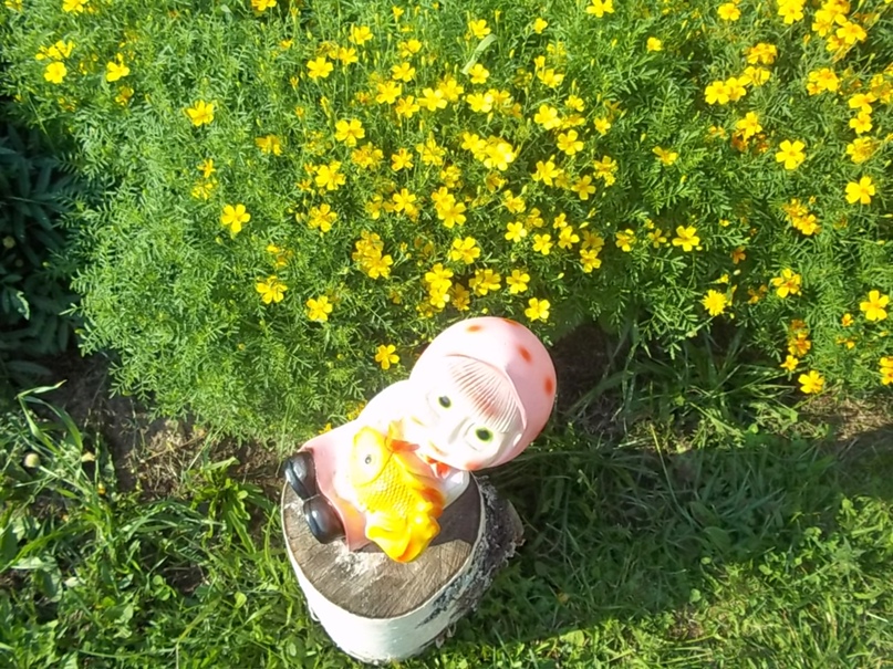 Марина Рощина |