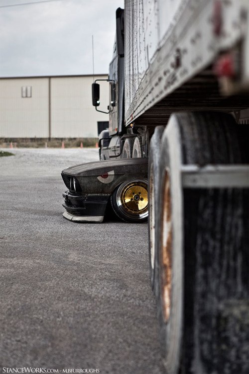 Александра Лейман |