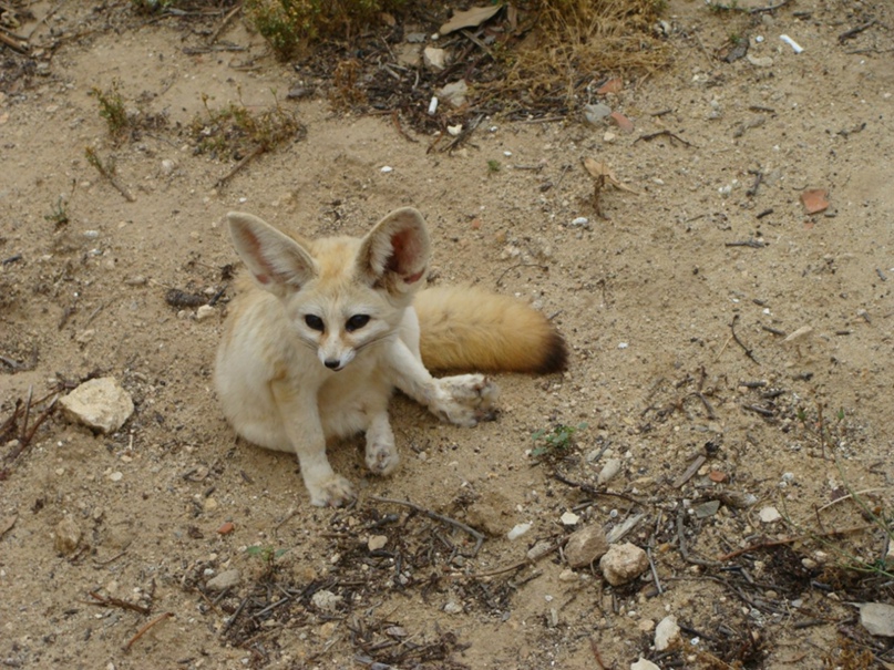 Юлия Романенко | Калининград