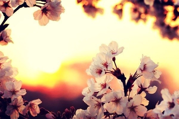 Татьяна Сергеенко | Минск