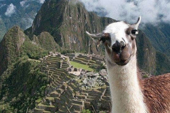 Ольга Серова | México