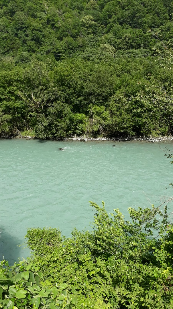 Юрий Столяров | Лыткарино