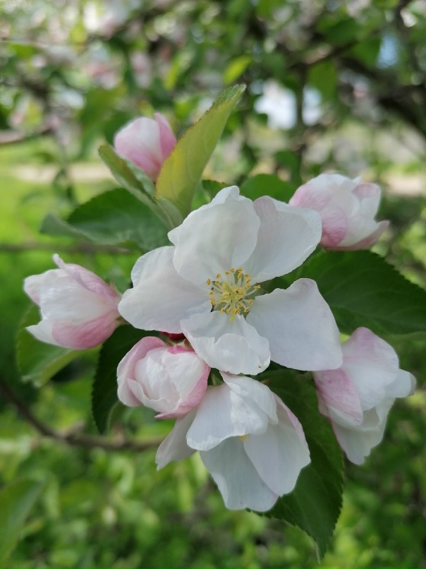 Людмила Пахомова | Саратов