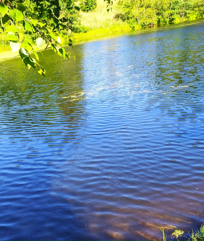 Нина Климова | Рязань