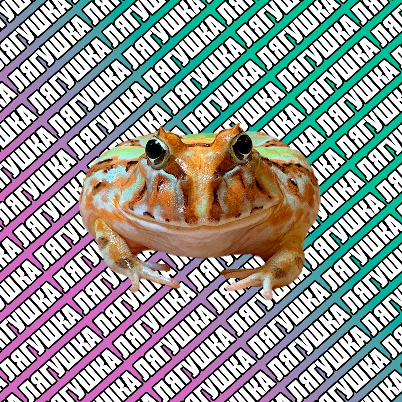 Степан Чумаков | Краснодар