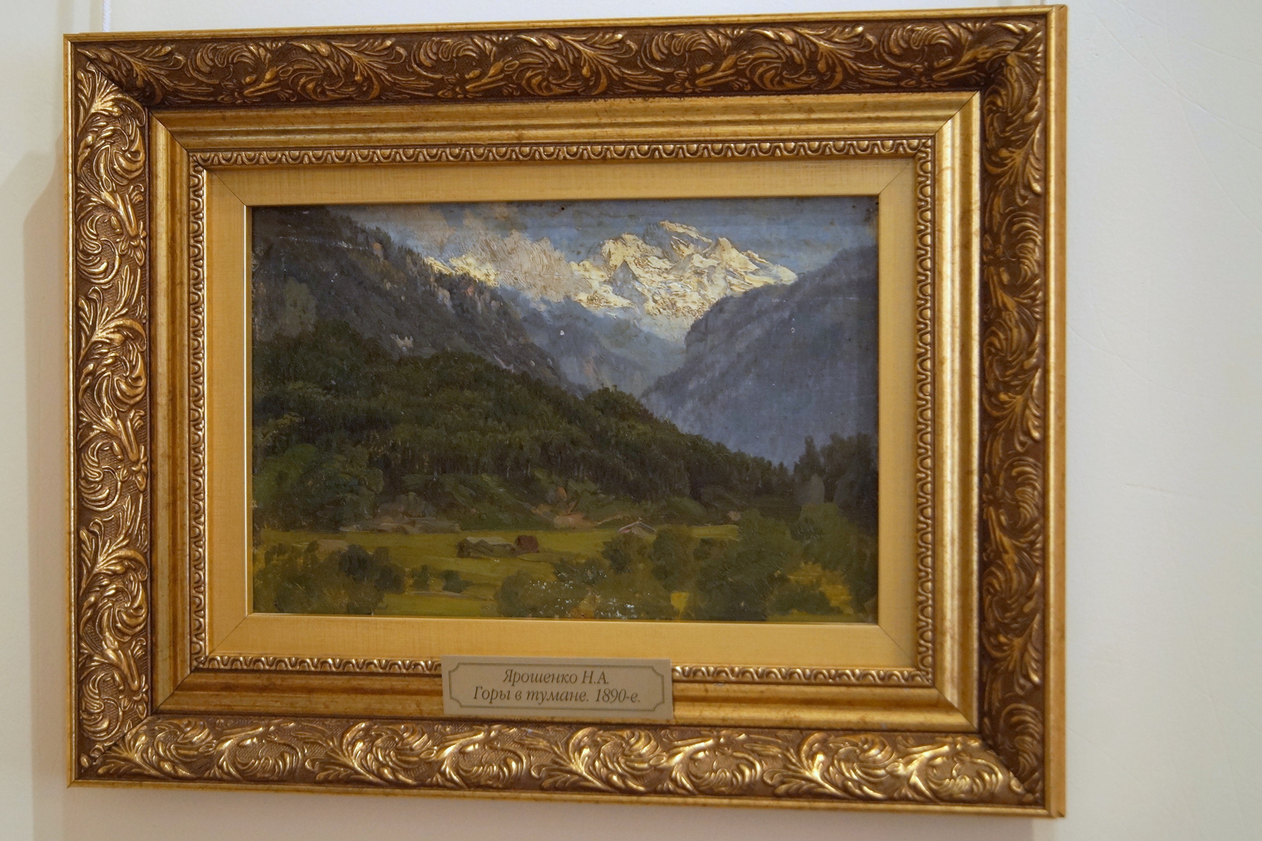 Wfy2zi4wZ94.jpg?size=2560x1707&quality=9