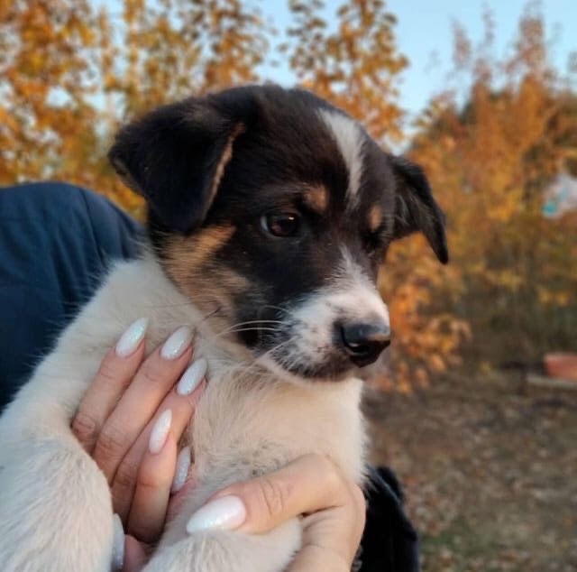 Юлия Сизова | Новомосковск