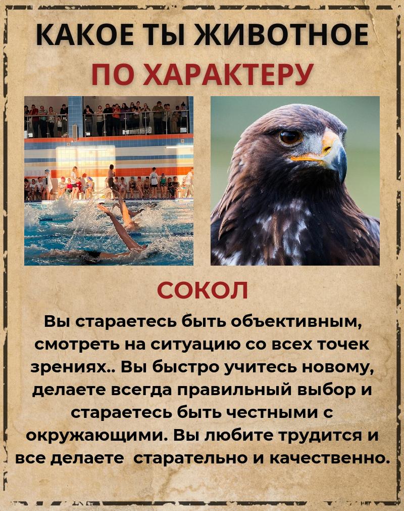 Альберт Иванов | Гусь-Хрустальный