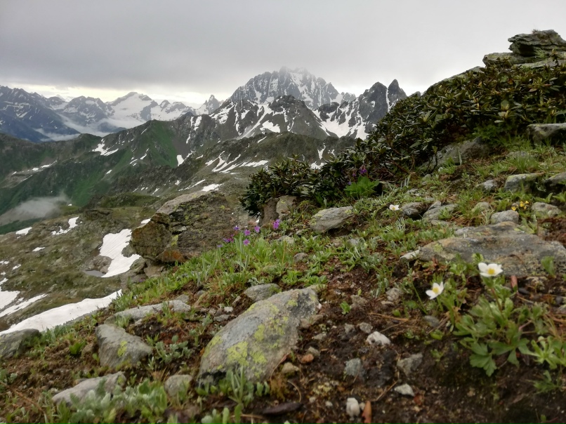 Александра Алексеева | Санкт-Петербург