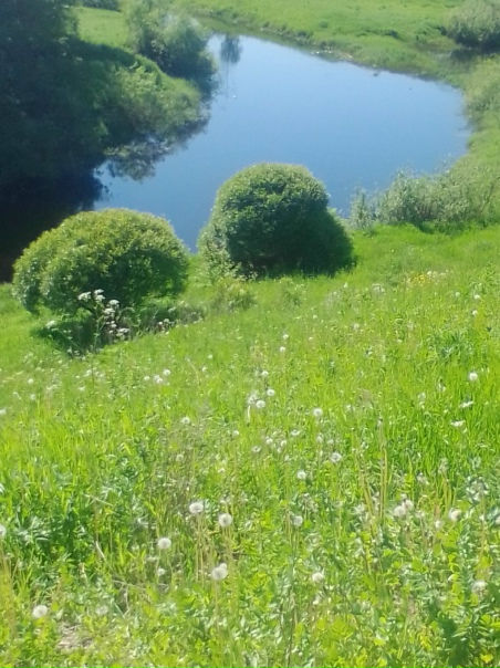 Река таня Река таня