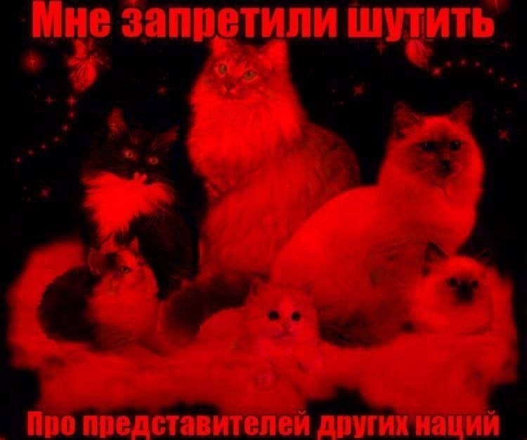 xCG063x5hvU.jpg?size=750x627&quality=95&sign=ba1f6ed4b5528e0855174d1a9629e19f&type=album