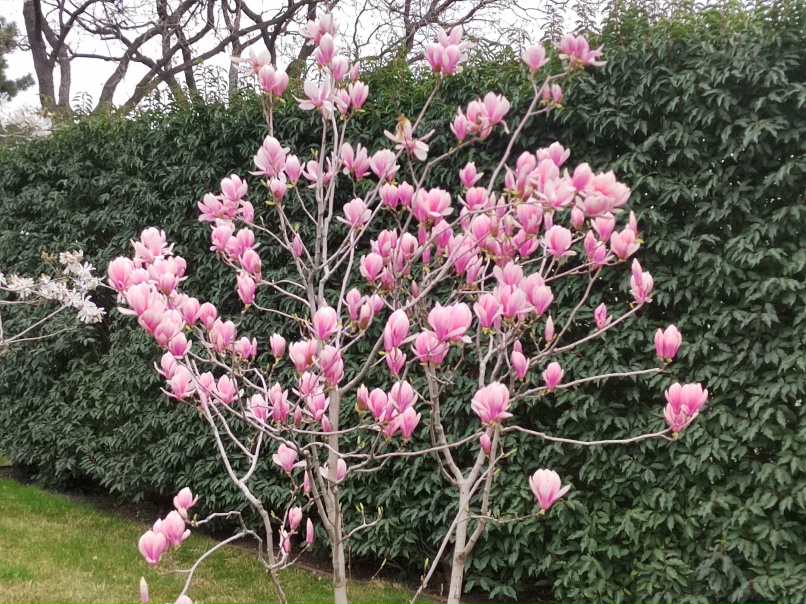 Марина Герасимова | Лесосибирск