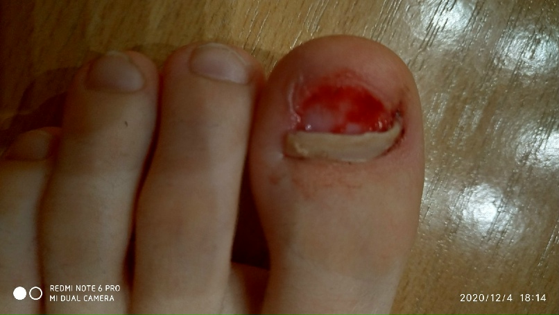 Андрей Рябов | Санкт-Петербург