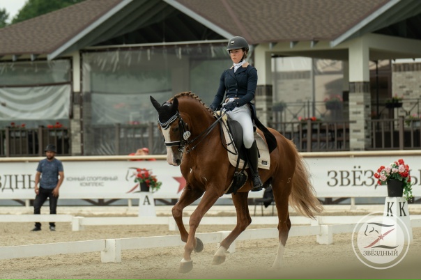 Конный спорт фото Конный спорт фото