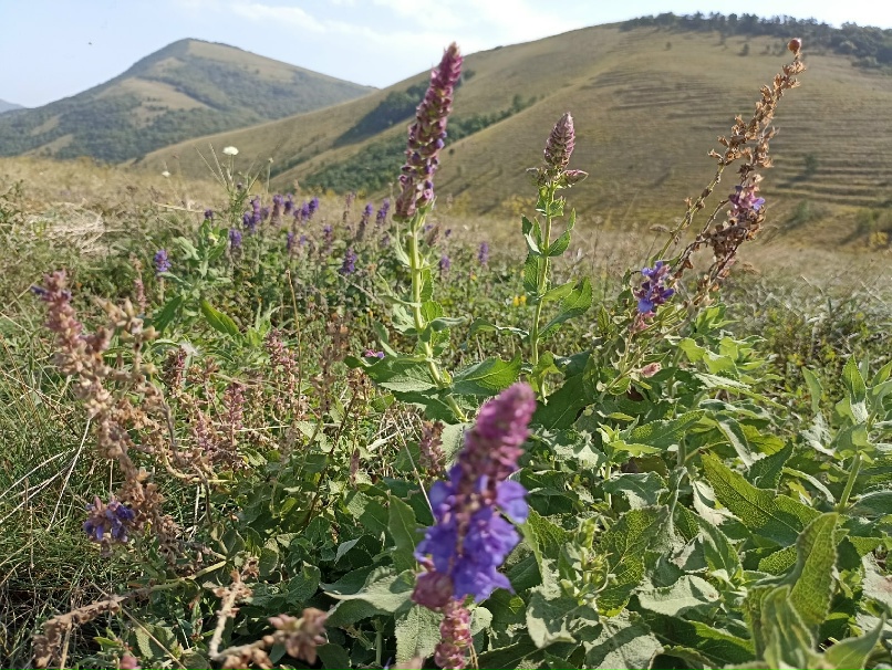 Константин Горьков | Екатеринбург